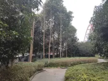 南滨路铜元局轻轨旁100米 清水房有钥匙欢迎看房