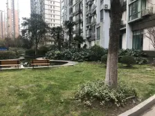 浦东世纪花园(公寓) 4室2厅 南 北