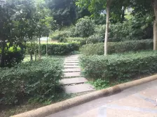 离商圈近+电梯房+南湖天台岗+步行街珊瑚