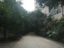 谢家湾 自由左岸一房