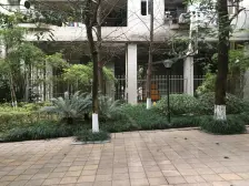 江北嘴 南方格林雅墅四房335万