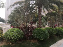 楼层好,看中庭视野好,南北通透 看湖 看海