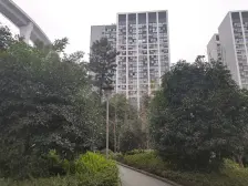 南滨路 诚投天邻水岸三房106万