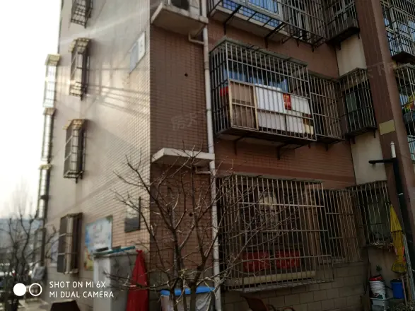 翠金园