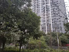 南滨路精装两室江景房,价格美丽,拎包入住