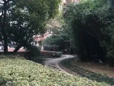 徐家汇烫金地段|品质小区|双书包房|价钱非常诚意出售|随时看