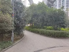 重庆南岸铜元局诚投天邻水岸 3室1厅1卫 西南