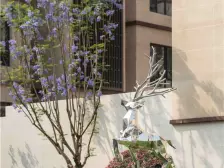 刘家坪轨道旁,洋房品质,纯改善小区,绿化环境好