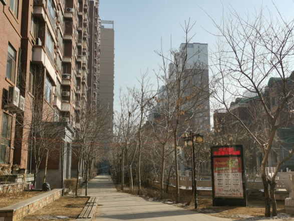 浅草绿阁六期