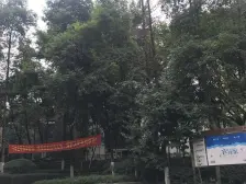 业主诚心,采光无遮挡,欢迎咨询