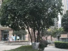 雍江苑 3室1厅 北