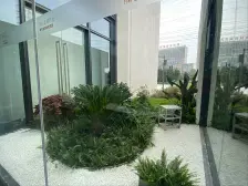 万科品牌,好楼层,毛坯自由装修,满二,税费低