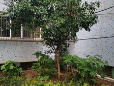 近地铁产权清晰无抵押精装新上房源