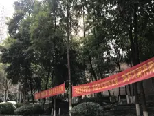 雍江苑 精装两房 户型方正 朝中庭看江 9号线