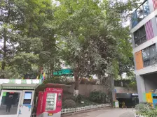 融侨 一米阳光一房50万