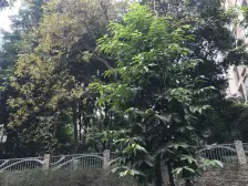 楼层好,视野开阔,正规三房,房间布局好