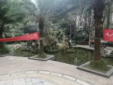 李家沱巴滨路旁 小洋楼 正规大3室2厅 大阳台配套好