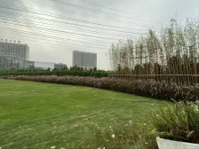 万科金域时光 采光好高层单位 近地铁600米