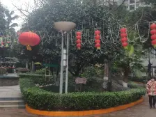 空中小别墅 带屋顶花园 3个阳台