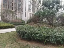 升龙城六号院138平双气电梯精装通透三房户型好