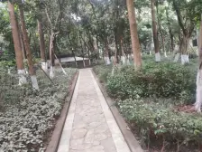 金沙港湾新精装修一室一厅,朝向安静,拎包入住。