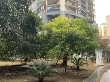 科园二街电梯两房,户型方正,业主诚心出售