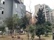 科园二街 朝阳花园 业主诚心出售,保养好拎包入住