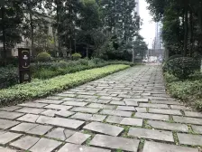 巴国城精装4房双卫 现代风格 拎包入住