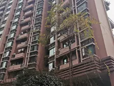 南滨路 品质小区 江景房 轻轨房 正规三房
