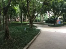 冉家坝龙湖大城小院,买房找我