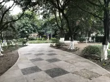 海兰云天畔山林语 3室2厅 东南