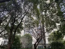 主卧朝南,精装修,二梯四户,不靠近马路,配套完善