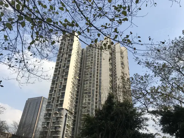 上行汇锦