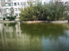 电梯洋房 南北通透 业主诚心出售 小区氛围好