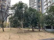 朝阳花园 2室1厅 东南