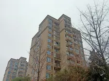 长桥左岸 4室1厅 南