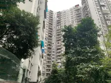 免个税,来电砍10颗