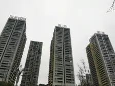 弹子石 阳光100国际新城二房125万