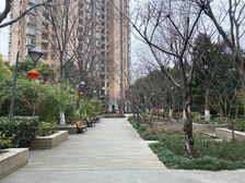 满堂南区双南两房业主自住保养好户型方正