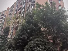 高楼层正看江 楼下就是轻轨站出口 大客厅巴适