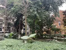 高新区 大川国际一房29万