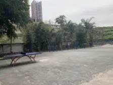 陈家坪 正规一房 拎包入住 配套完善 采光好