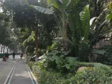 滨北市政府 地铁2号线 封闭式小区 国贸春天 高层电梯