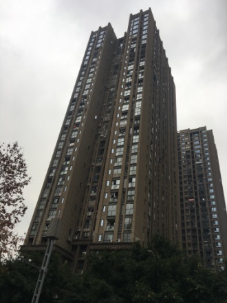 龙湖紫都城