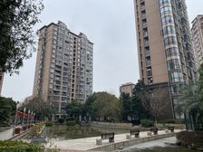 位置安静,高区采光视野棒,户型板正,业主无比诚意