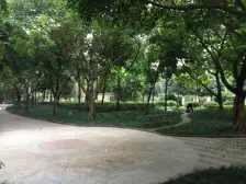 此房装修用材好,单层170㎡带露台屋顶花园150㎡