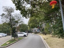 内环内,新出电梯大一房,业主卖掉回老家