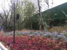 鲁能星城外滩江澜 4室2厅 南