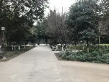 轻轨房,公交地铁方便,环境舒适,公园多绿化