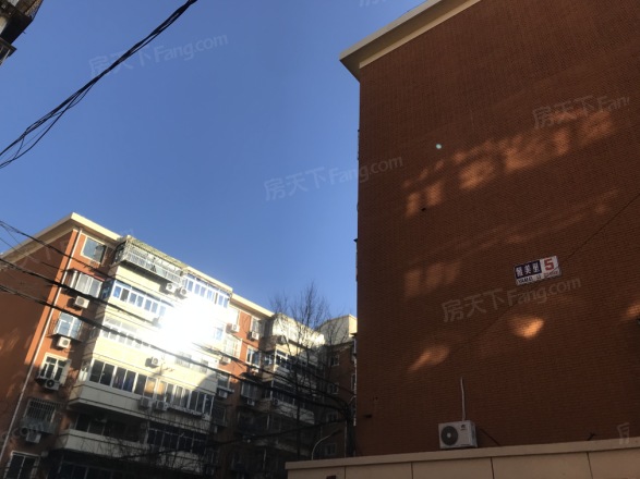 雅美里